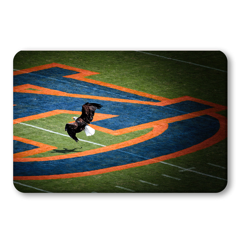 Auburn Tigers - War Eagle - College Wall Art #Canvas 