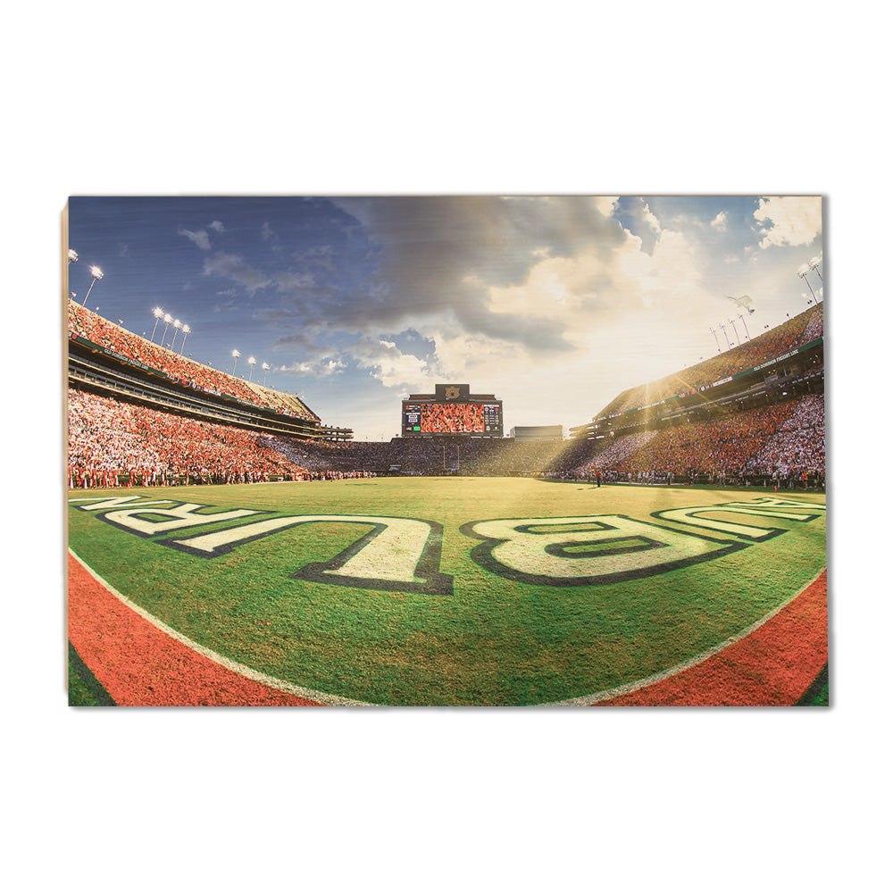 Auburn Tigers - Fisheye End Zone - College Wall Art #Canvas 