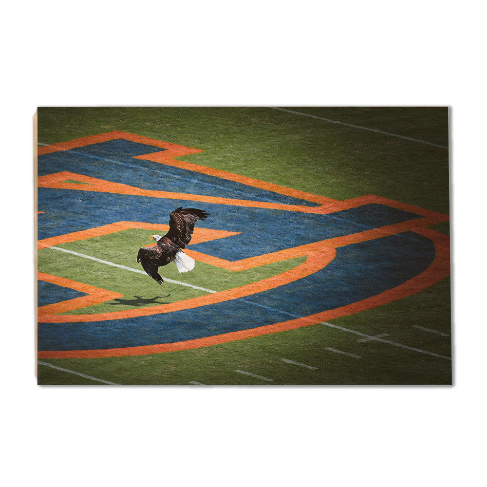 Auburn Tigers - War Eagle - College Wall Art #Canvas 
