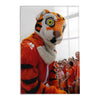 Clemson Tigers - The Tiger