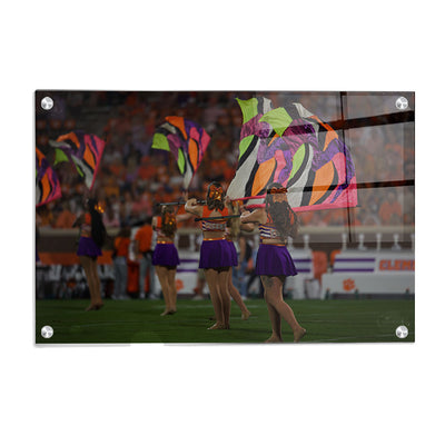 Clemson Tigers - Tiger Guard - College Wall Art #Acrylic