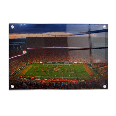 Clemson Tigers - Tigers in Death Valley - College Wall Art #Acrylic