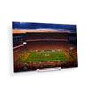 Clemson Tigers - Tigers in Death Valley - College Wall Art #Acrylic Mini