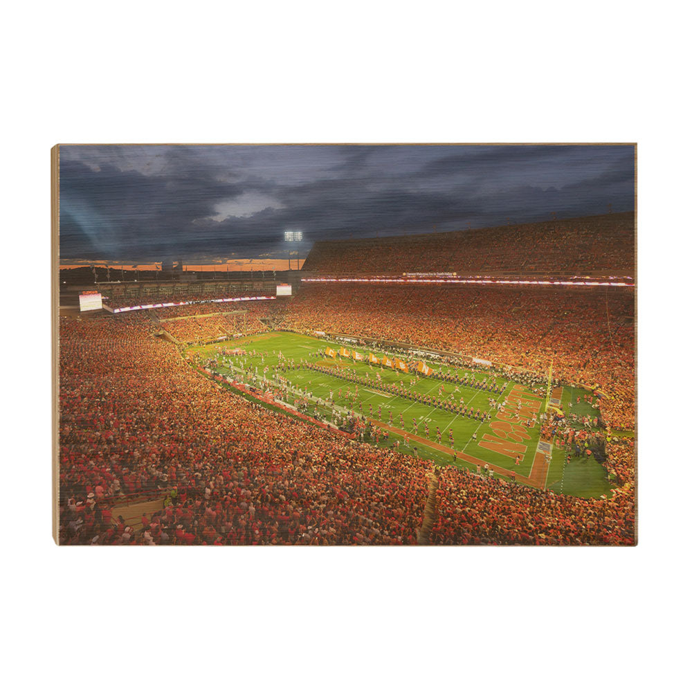 Clemson Tigers - Clemson - College Wall Art #Canvas