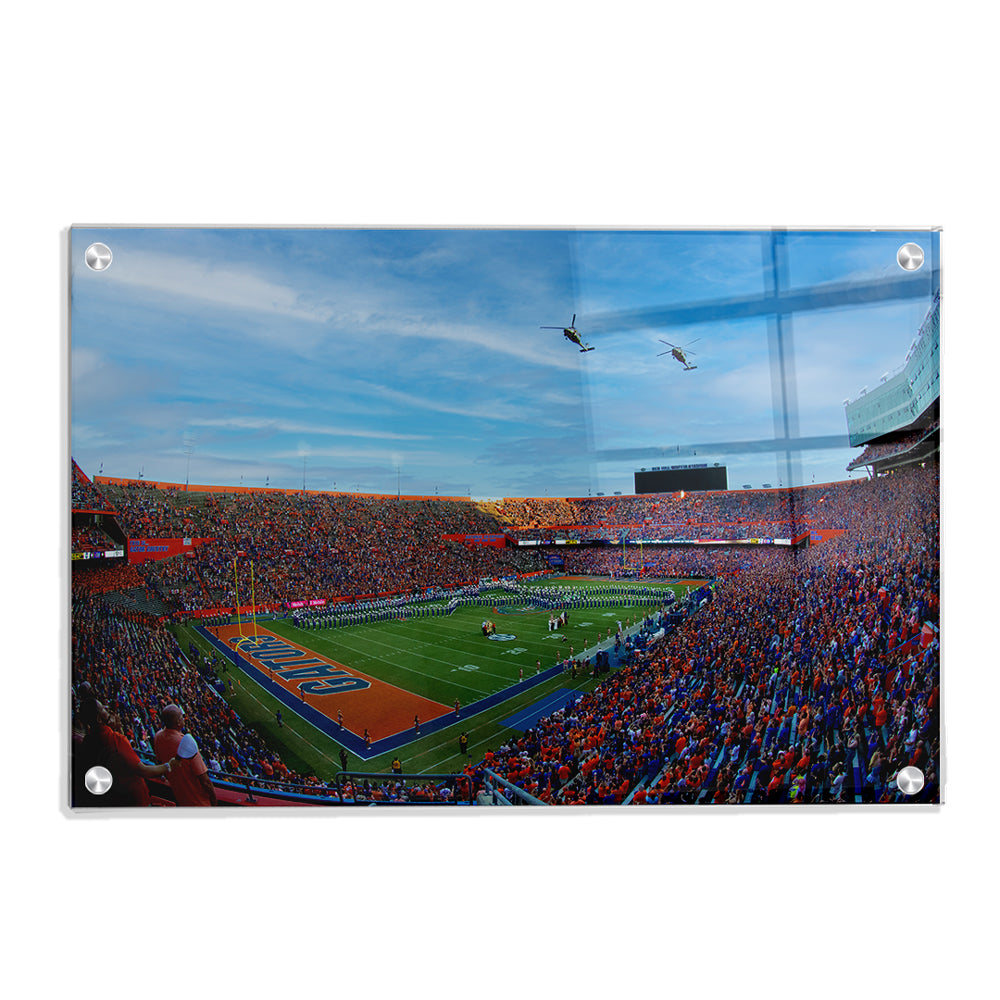 Florida Gators - Gator Flyover - College Wall Art #Canvas