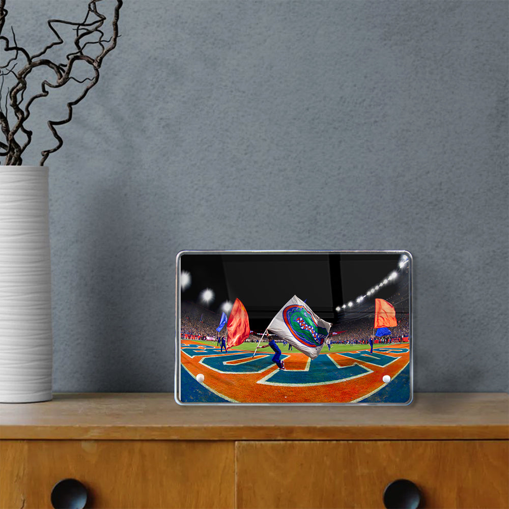 Florida Gators - Go Gators - College Wall Art #Canvas