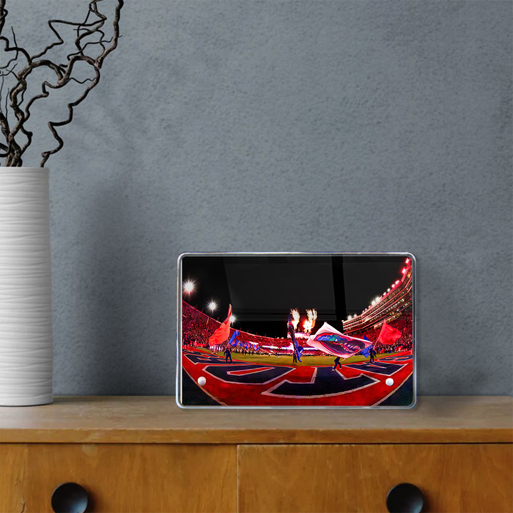 Florida Gators - Enter Gators - College Wall Art #Canvas