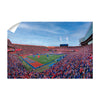 Florida Gators - Enter the Gators - College Wall Art #Wall Decal