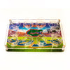 Florida Gators  - This is the Swamp End Zone Acrylic Beverage and Hors d'oeuvres Tray
