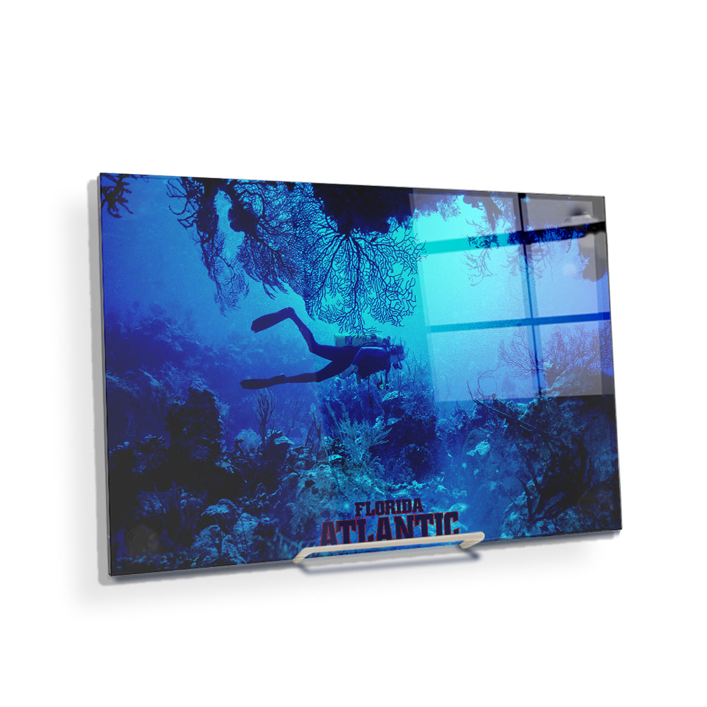 Florida Atlantic Owls - Florida Atlantic Dive - College Wall Art #Canvas