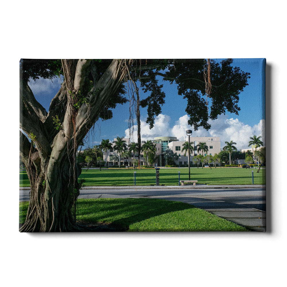 Florida Atlantic Owls - Banyan Tree - College Wall Art #Canvas