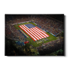 Florida Atlantic Owls - Stars and Stripes - College Wall Art #Canvas