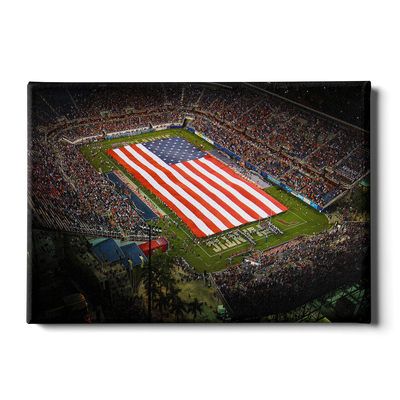 Florida Atlantic Owls - Stars and Stripes - College Wall Art #Canvas