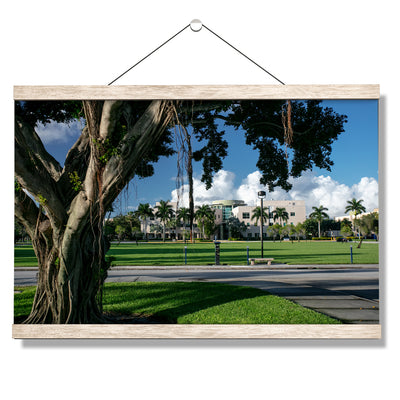 Florida Atlantic Owls - Banyan Tree - College Wall Art #Hanging Canvas