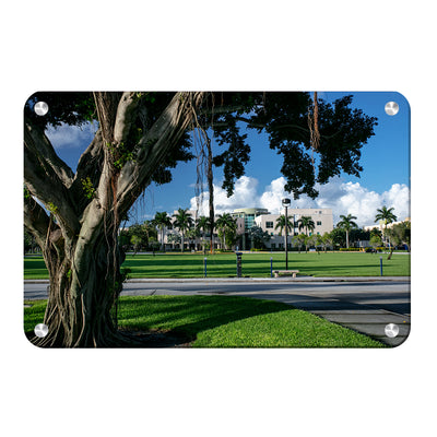 Florida Atlantic Owls - Banyan Tree - College Wall Art #Metal