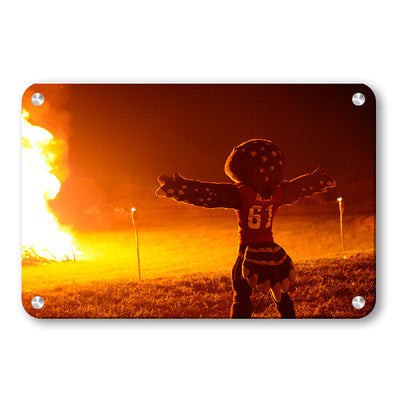 Florida Atlantic Owls - Owlsley and the Bonfire - College Wall Art #Metal