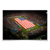 Florida Atlantic Owls - Stars and Stripes - College Wall Art #Poster