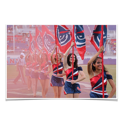 Florida Atlantic Owls - FAU Spirit