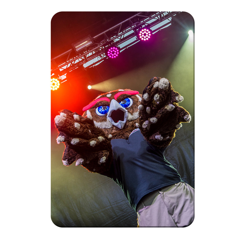 Florida Atlantic Owls - Owlsley on Stage - College Wall Art #Canvas