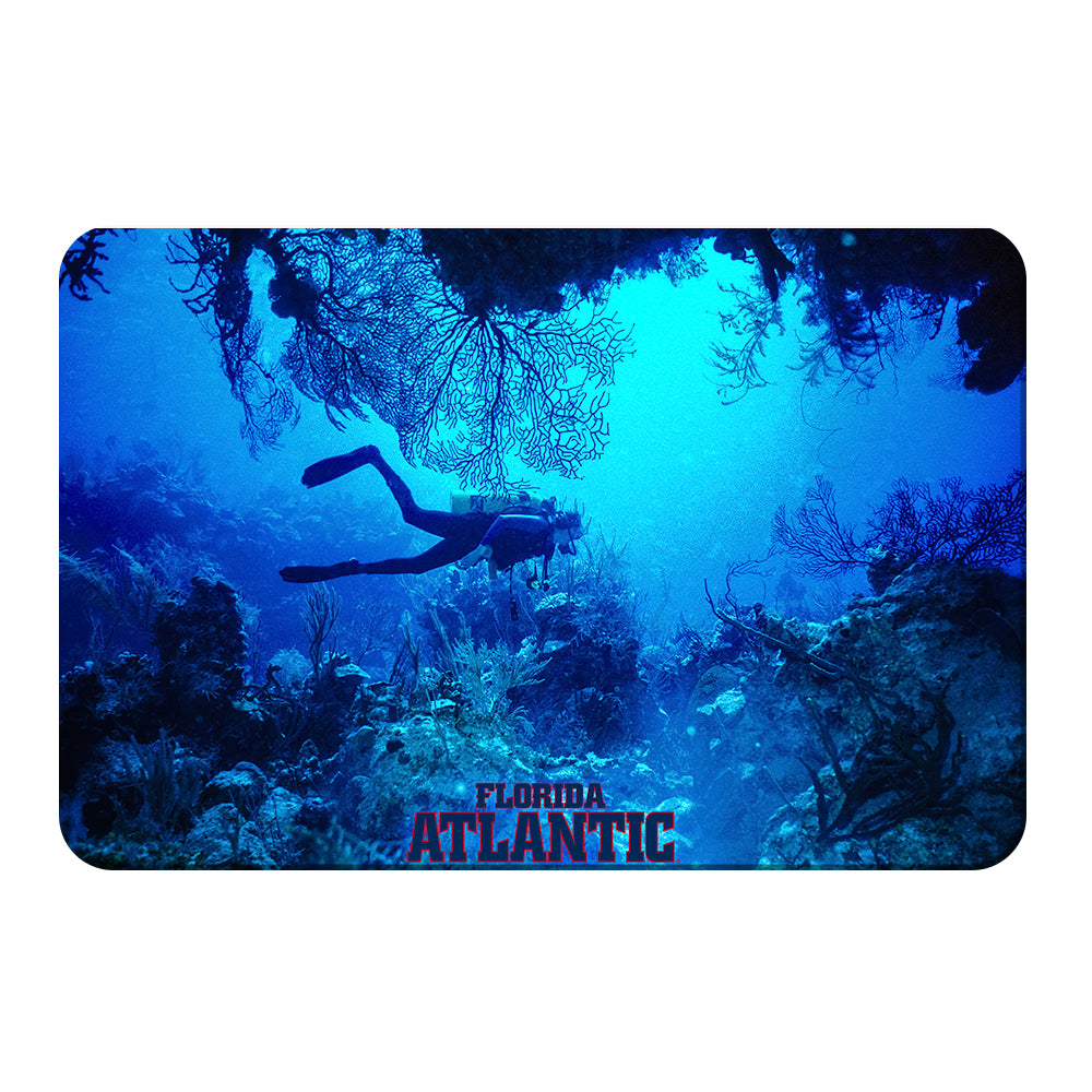 Florida Atlantic Owls - Florida Atlantic Dive - College Wall Art #Canvas