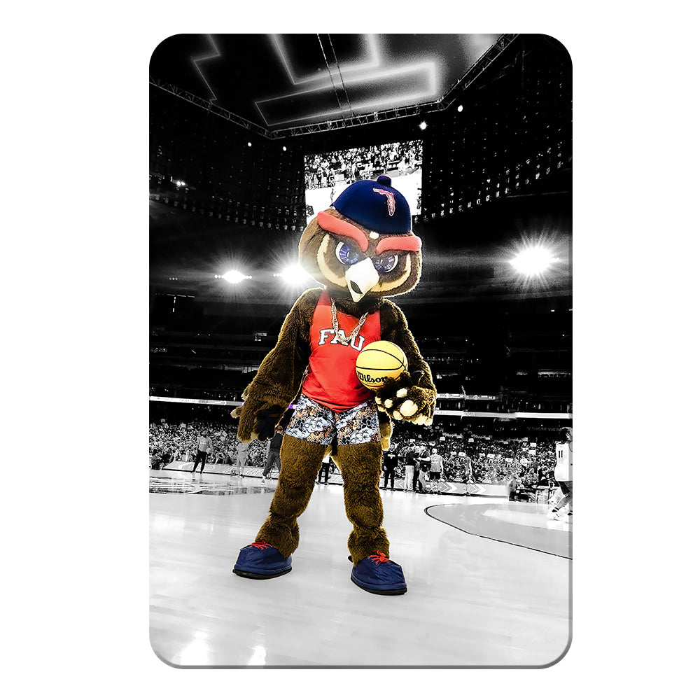 Florida Atlantic Owls - Owlsley in the Garden - College Wall Art #Canvas