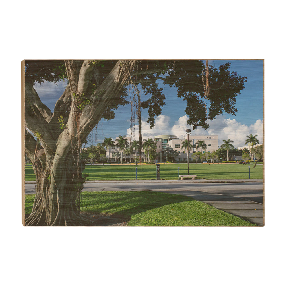 Florida Atlantic Owls - Banyan Tree - College Wall Art #Canvas
