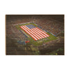 Florida Atlantic Owls - Stars and Stripes - College Wall Art #Wood