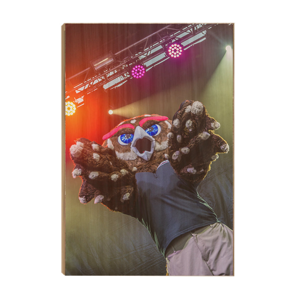 Florida Atlantic Owls - Owlsley on Stage - College Wall Art #Canvas
