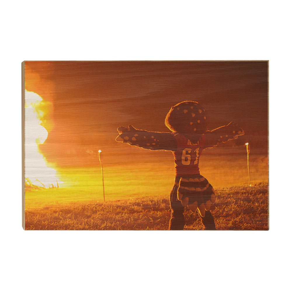 Florida Atlantic Owls - Owlsley and the Bonfire - College Wall Art #Canvas