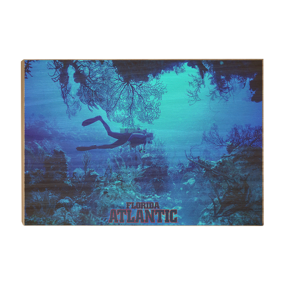 Florida Atlantic Owls - Florida Atlantic Dive - College Wall Art #Canvas