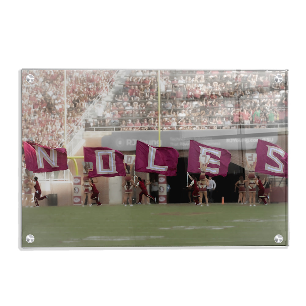 Florida State Seminoles - Noles - College Wall Art #Canvas