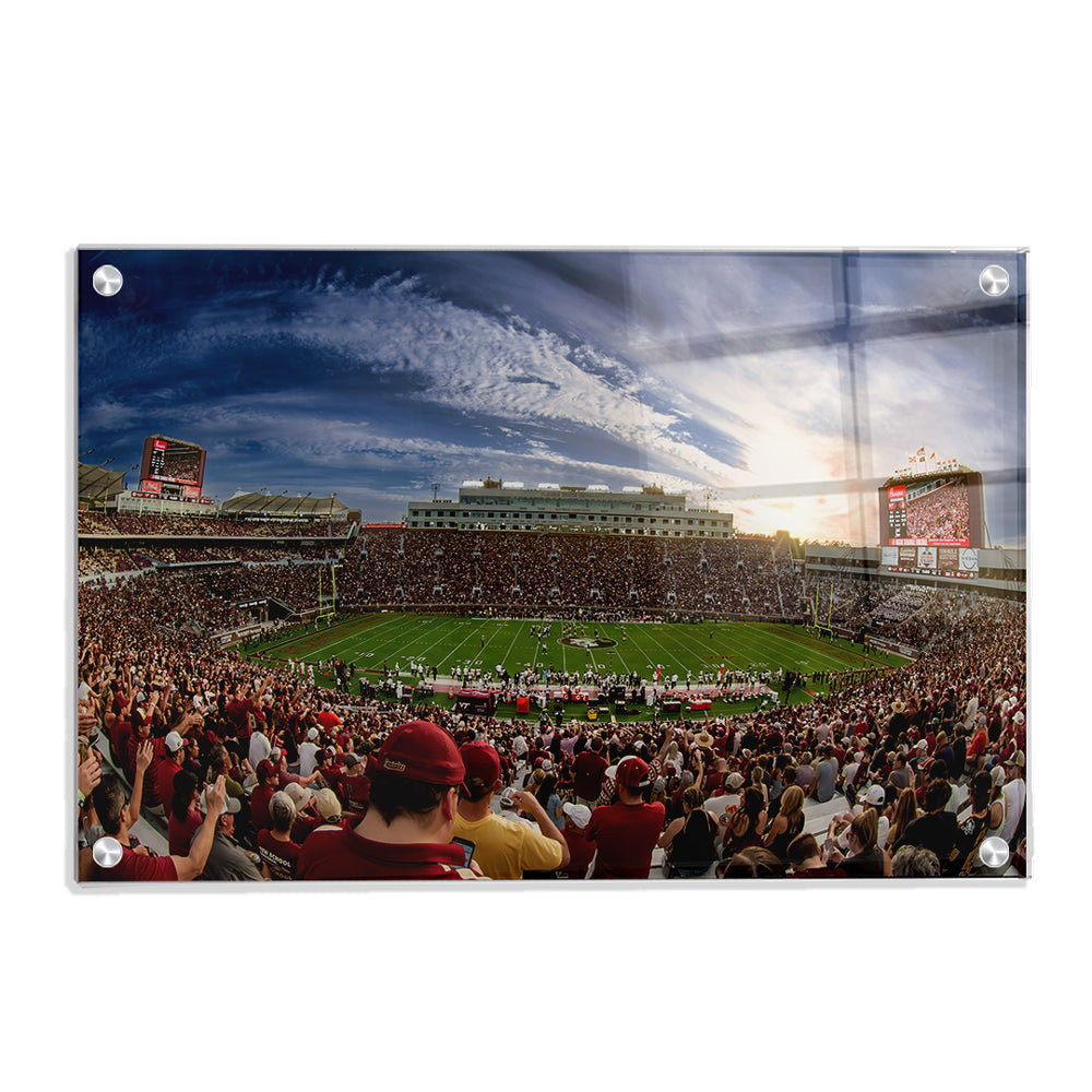 Florida State Seminoles - Doak - College Wall Art #Canvas
