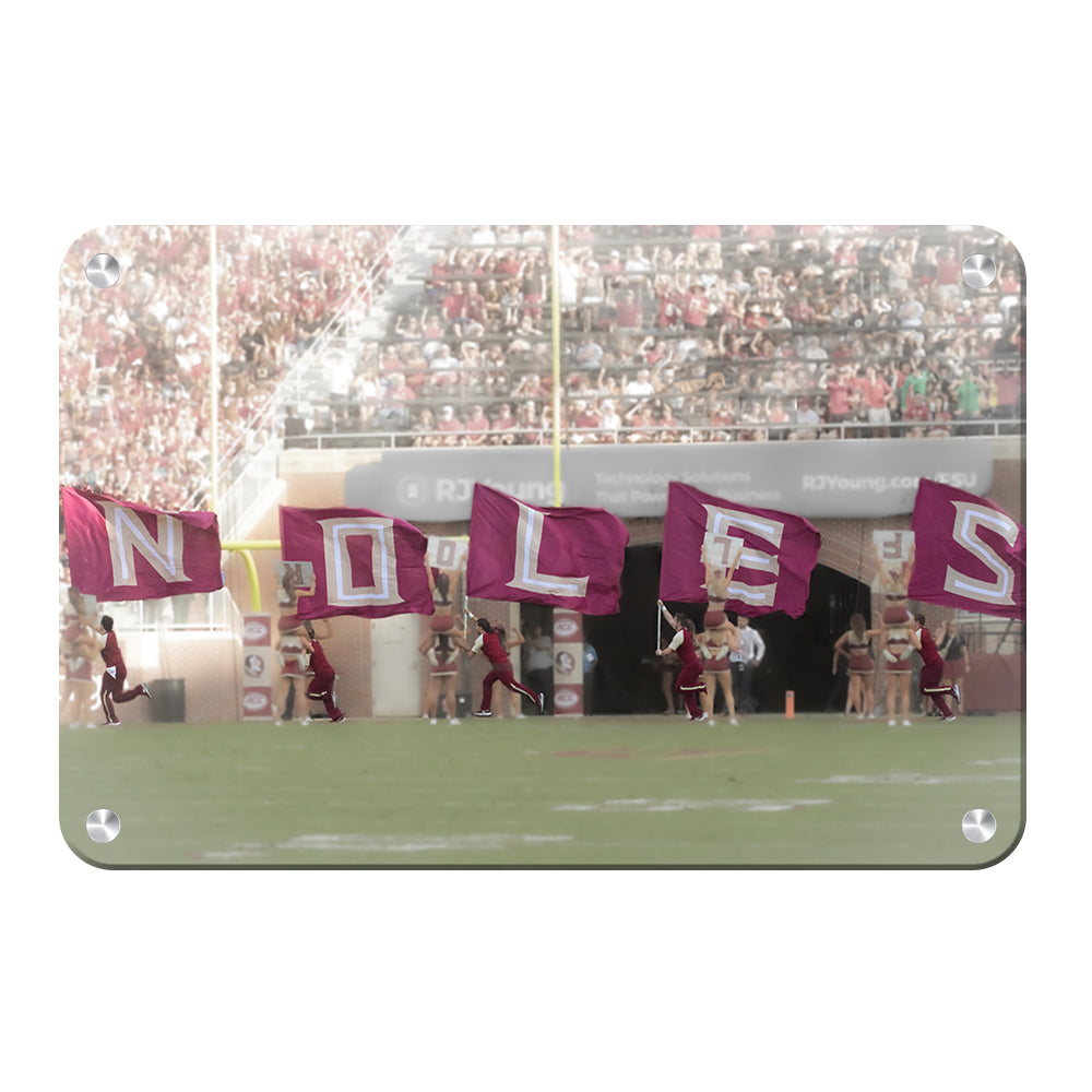 Florida State Seminoles - Noles - College Wall Art #Canvas