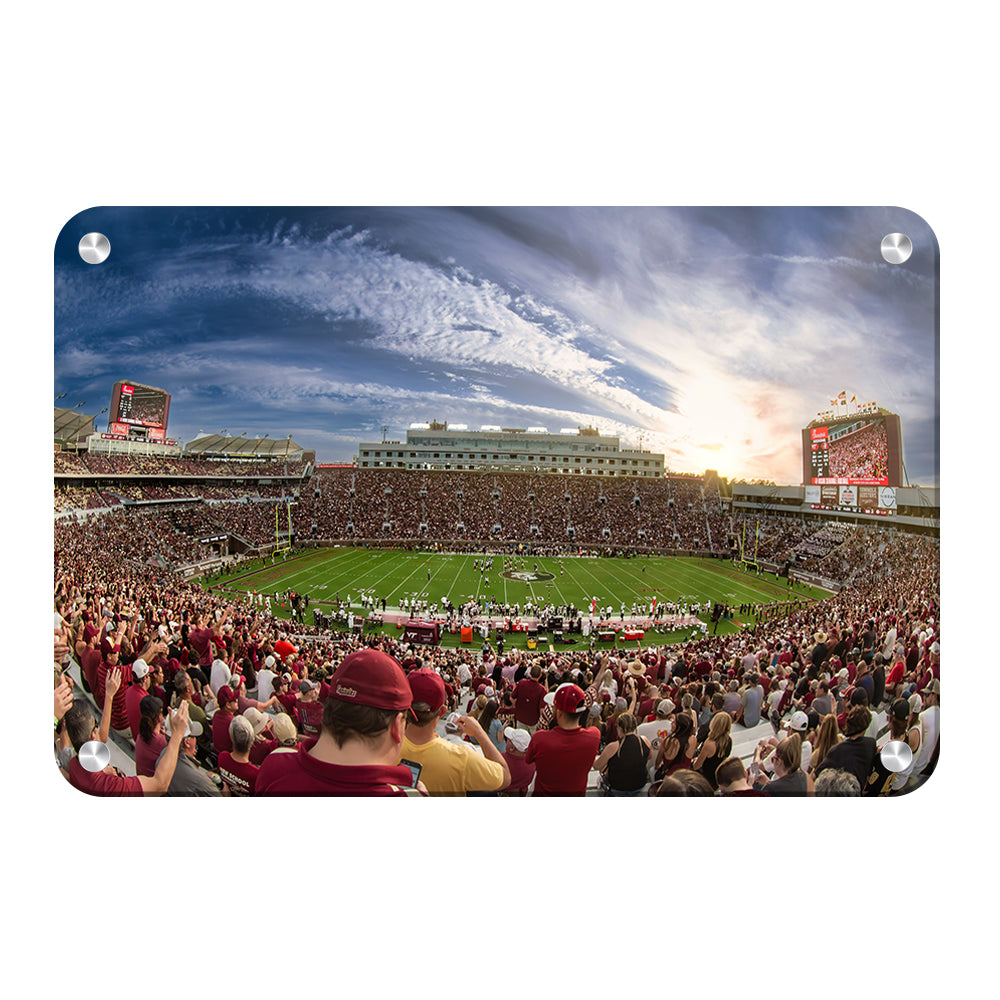 Florida State Seminoles - Doak - College Wall Art #Canvas