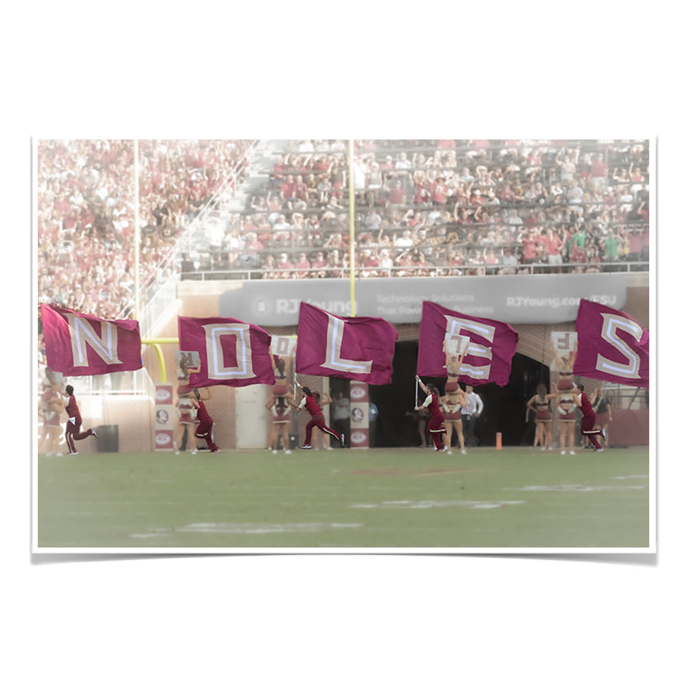 Florida State Seminoles - Noles - College Wall Art #Canvas