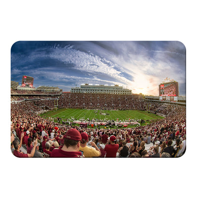 Florida State Seminoles - Doak - College Wall Art #PVC