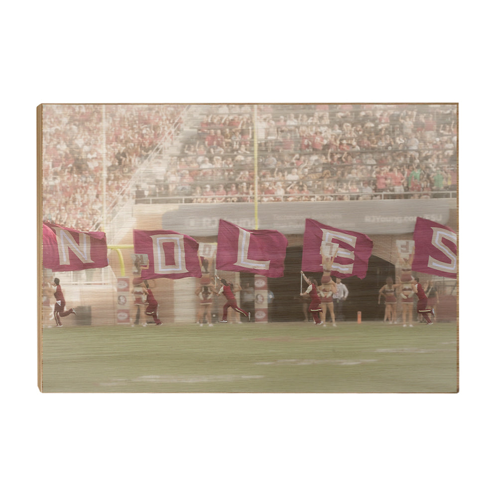Florida State Seminoles - Noles - College Wall Art #Canvas
