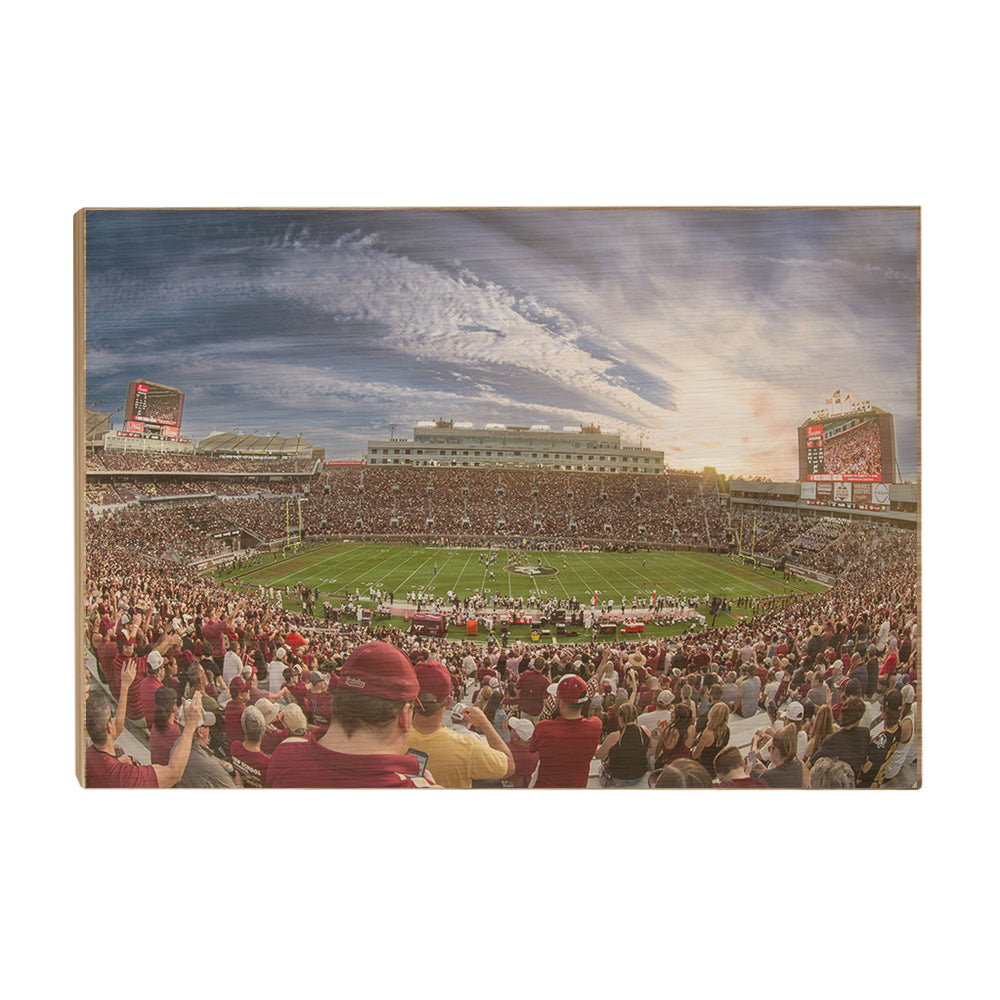Florida State Seminoles - Doak - College Wall Art #Canvas