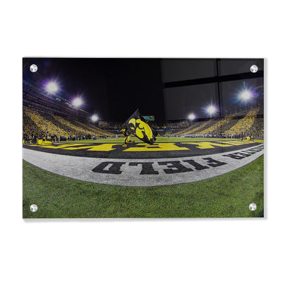 Iowa Hawkeyes - Herky in the End Zone - College Wall Art #Acrylic