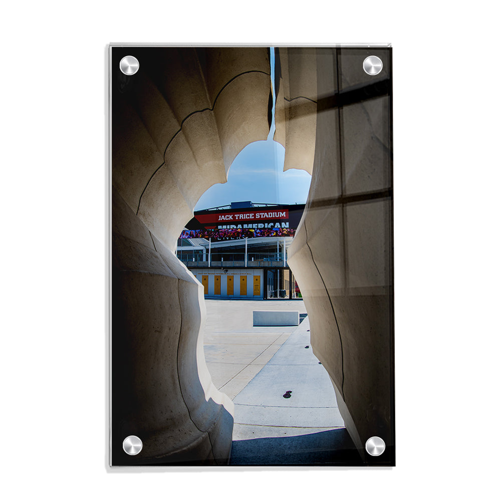 Iowa State Cyclones - Jack Trice View - College Wall Art #Canvas