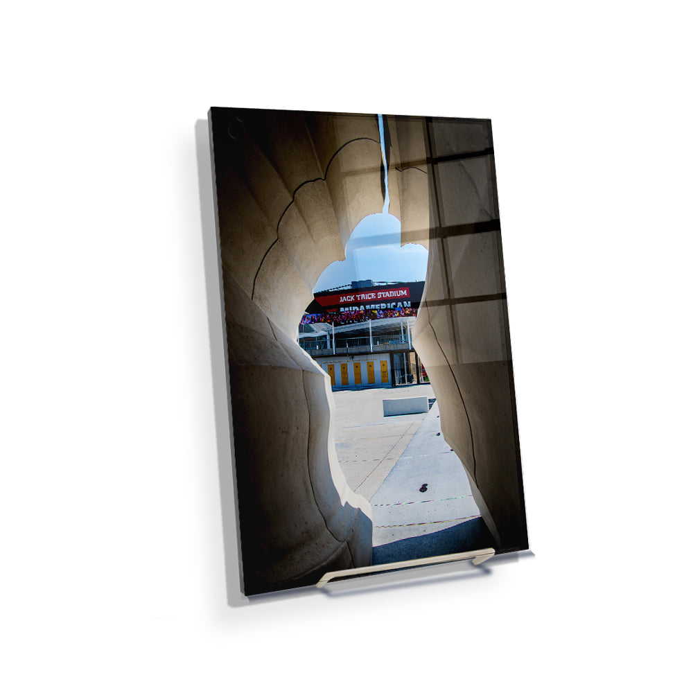 Iowa State Cyclones - Jack Trice View - College Wall Art #Canvas