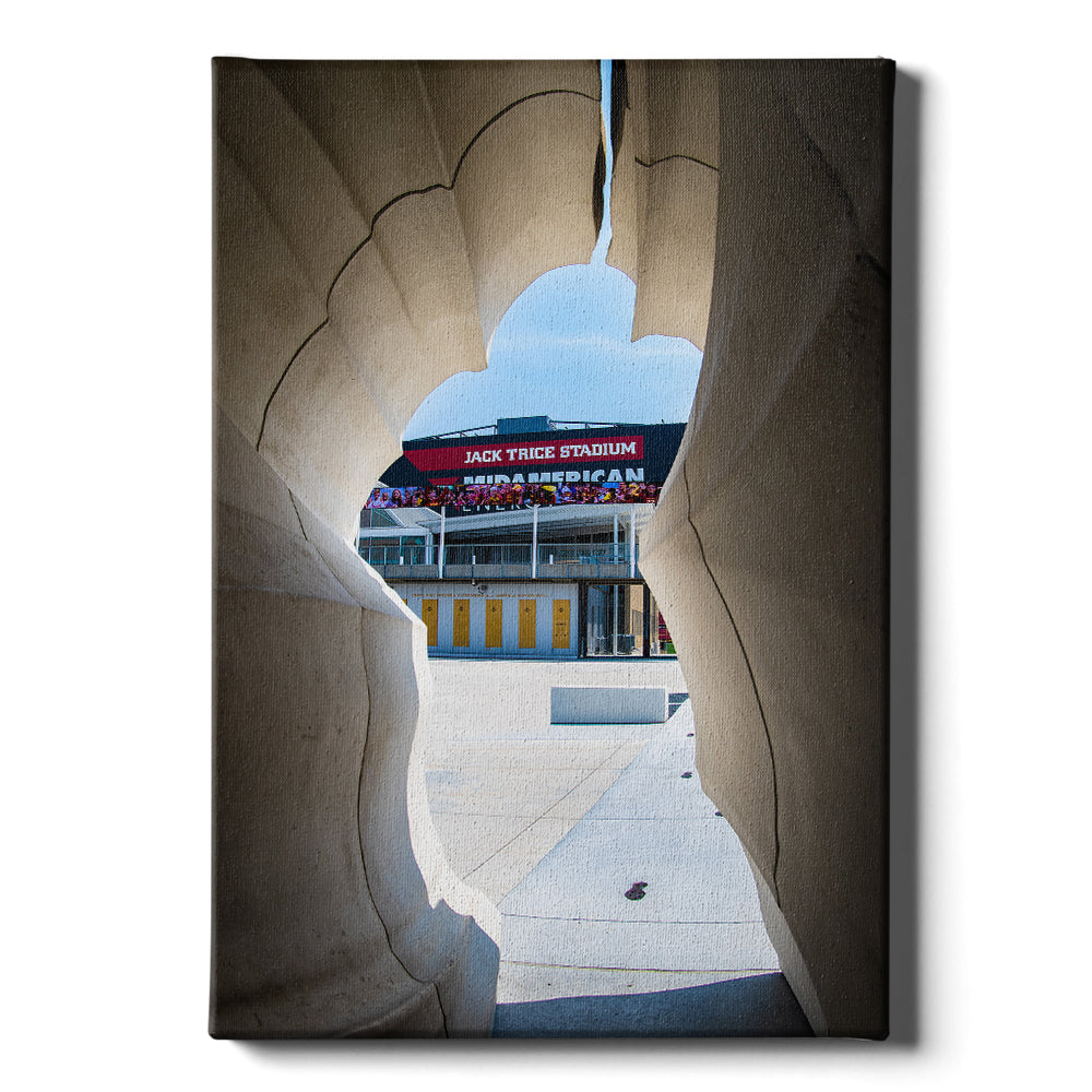 Iowa State Cyclones - Jack Trice View - College Wall Art #Canvas