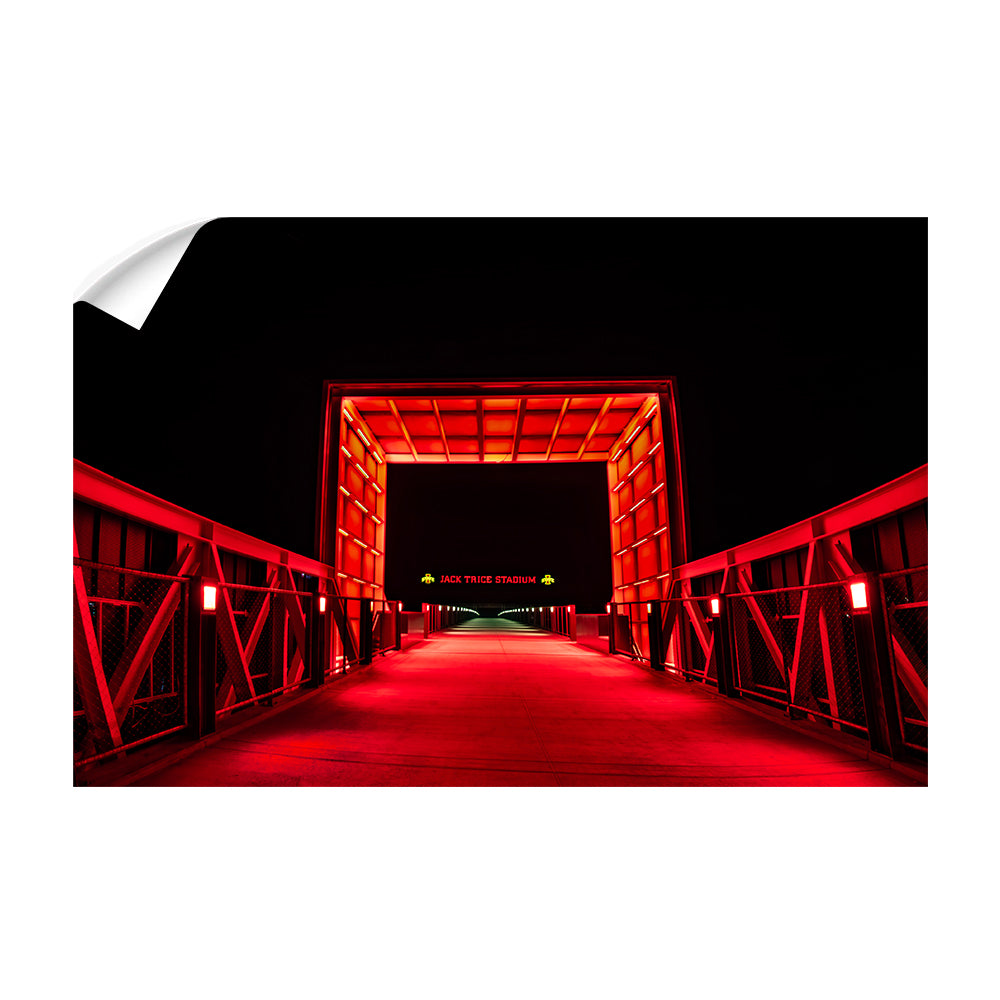 Iowa State Cyclones - Walk to Jack Trice Stadium - College Wall Art #Canvas