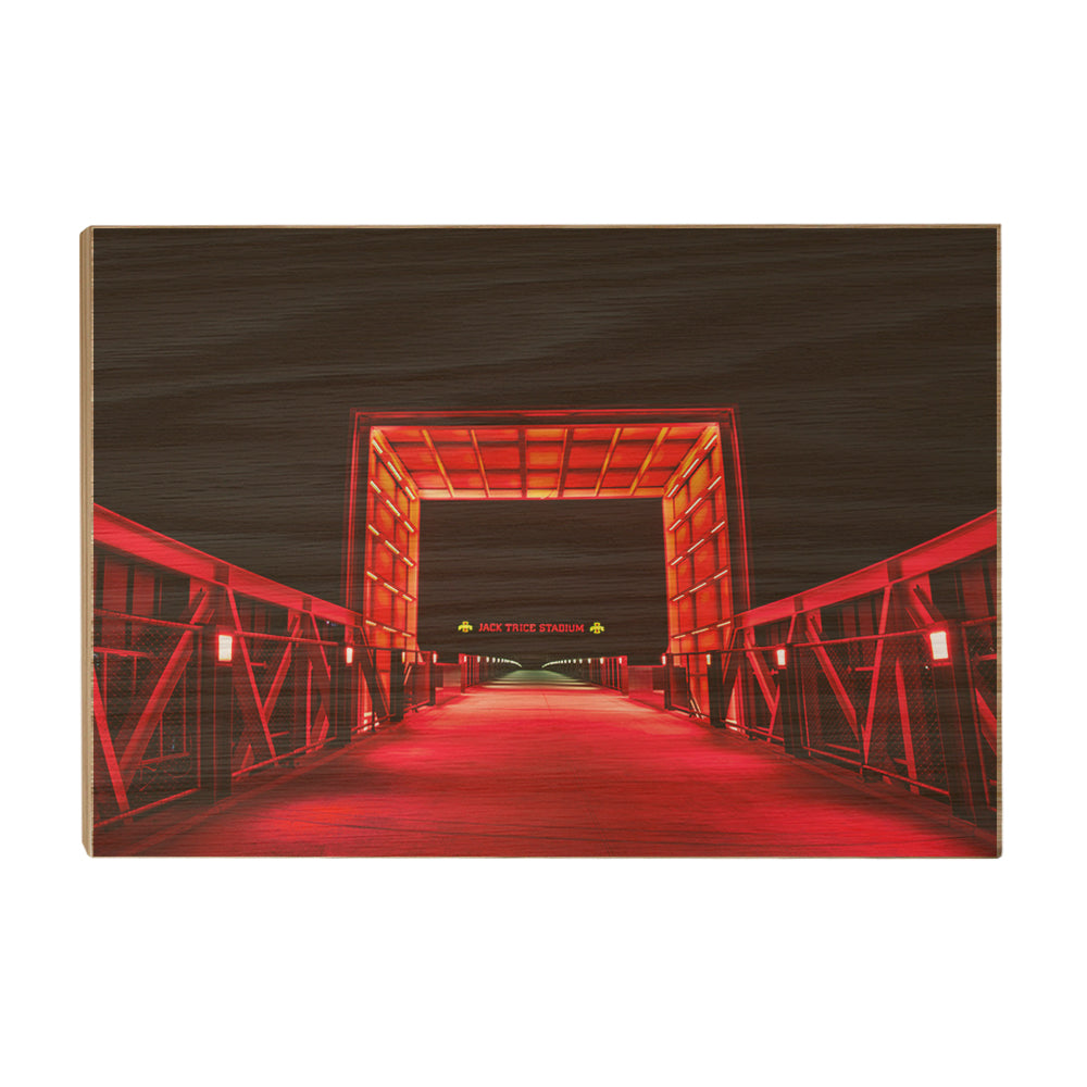 Iowa State Cyclones - Walk to Jack Trice Stadium - College Wall Art #Canvas