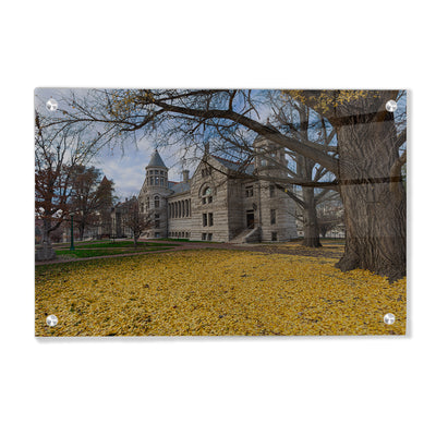 Indiana Hoosiers - Fall Setting - College Wall Art #Acrylic