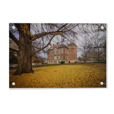 Indiana Hoosiers - Owen Hall - College Wall Art #Acrylic
