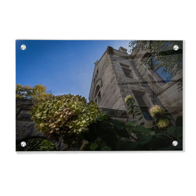 Indiana Hoosiers - Looking Up - College Wall Art #Acrylic