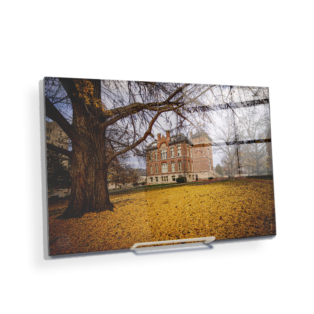 Indiana Hoosiers - Owen Hall - College Wall Art #Canvas