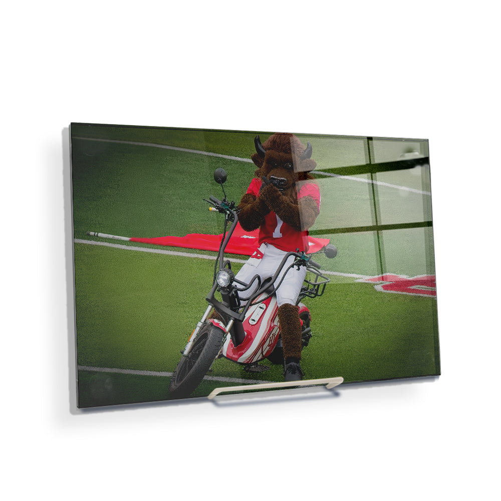 Indiana Hoosiers - Hoosier the Bison Easy Rider - College Wall Art #Canvas
