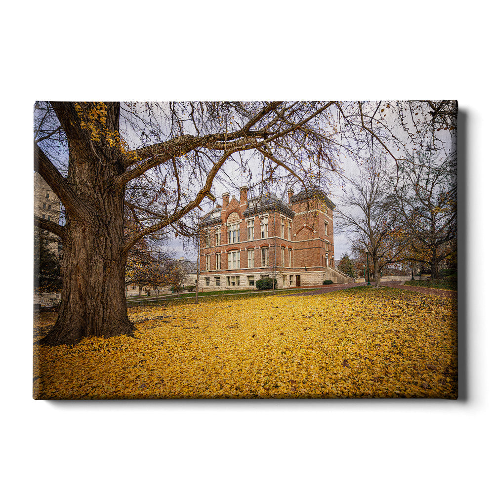 Indiana Hoosiers - Owen Hall - College Wall Art #Canvas